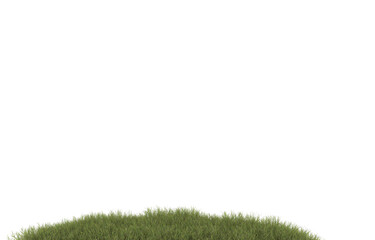 Field of grass with flowers on transparent background. 3d rendering - illustration