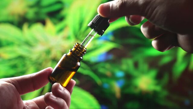 Closeup hand holding bottle of oily cannabis and using dropper measuring droplets as they fall into container. Legalized cannabis products from hemp leaf to CBD oil for medical use.
