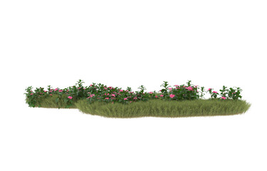 Field of grass with flowers on transparent background. 3d rendering - illustration