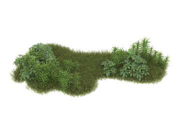 Field of grass with flowers on transparent background. 3d rendering - illustration