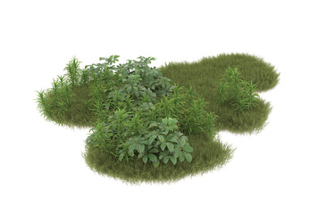 Field of grass with flowers on transparent background. 3d rendering - illustration