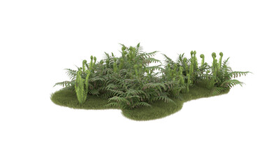 Field of grass with flowers on transparent background. 3d rendering - illustration