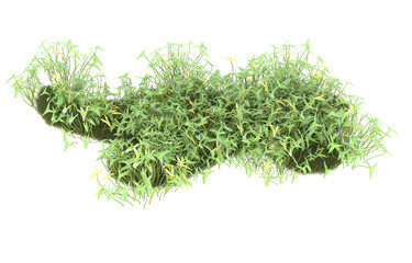 Field of grass with flowers on transparent background. 3d rendering - illustration