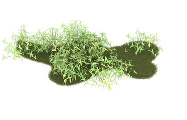 Field of grass with flowers on transparent background. 3d rendering - illustration
