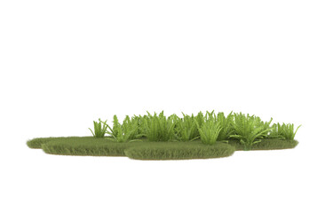 Field of grass with flowers on transparent background. 3d rendering - illustration