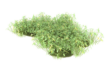 Field of grass with flowers on transparent background. 3d rendering - illustration