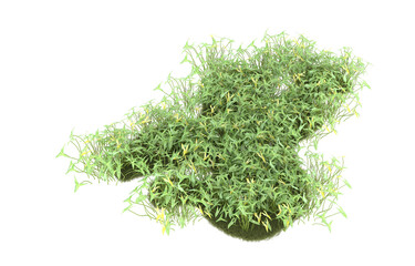 Field of grass with flowers on transparent background. 3d rendering - illustration