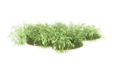 Field of grass with flowers on transparent background. 3d rendering - illustration