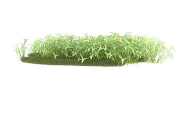 Field of grass with flowers on transparent background. 3d rendering - illustration