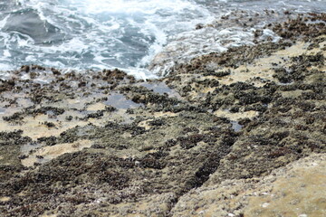 和歌山県　千畳敷の風景
