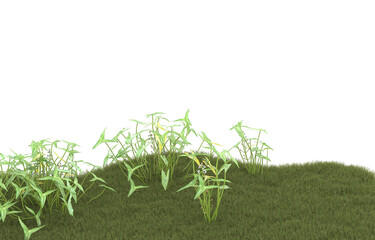Fototapeta premium Field of grass with flowers on transparent background. 3d rendering - illustration