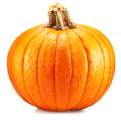 Orange round pumpkin, symbol of Halloween isolated on white background.