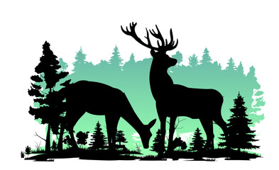 Wild animals. Silhouette figures. Glade in coniferous northern forest taiga. Isolated on white background. Vector.