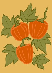Dynie pomarańczowe z liśćmi, trzy sztuki, rysowane, jesień, pattern, tło, element, powtarzalny,  - obrazy, fototapety, plakaty