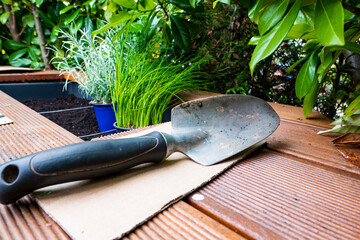 gardening tools on the garden table