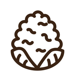 cabbage cauliflower food organic vegetable icon
