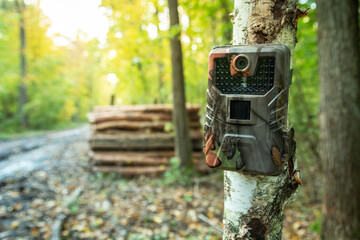Camera trap mounted on a tree in the forest