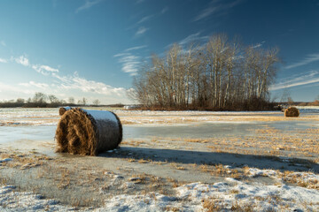 Winter landscape with frozen meadow and hay bales