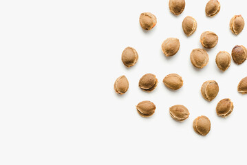 Apricot kernels on a white background. Apricot kernels.