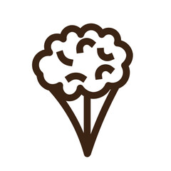 cauliflower diet food healthy vegetable icon