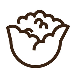 cauliflower food vegetable icon
