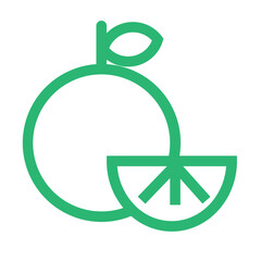 citrus fresh grapefruit healthy orange pomelo slice icon