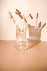 A bunch of yellow wheat spikes, Reeds foliage branches in a transparent rippled vase on orange and beige colored background with hard light shadow, sunny morning