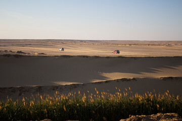 Safari  SUV Cars on the sand at Golden Hour of sunset time,  Wadi Al-Hitan, Whale Valley, Faiyum in the Western Desert of Egypt