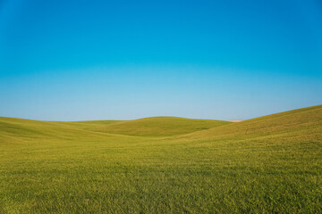 Green grass field on small hills and blue sky. 
