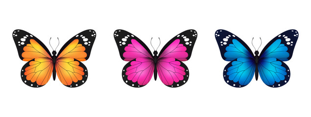 Blue, pink, yellow realistic flying monarch butterfly set on a white background. Vector illustration. Decorative print design. Colorful fairy wings.