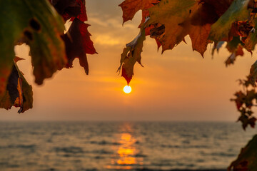 Autumnal frame of leaves by the Baltic Sea at sunrise, Poland.