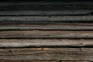 Obraz premium wood texture background from natural tree
