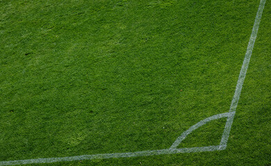 soccer field lines.