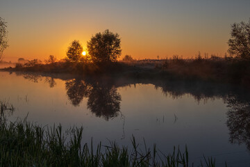 Fototapeta premium reflection in the water