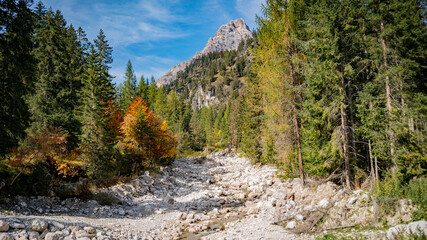 stream in the mountains