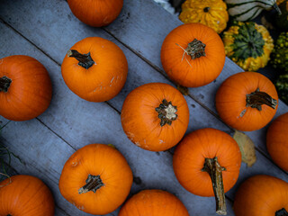 pumpkins for sale at market