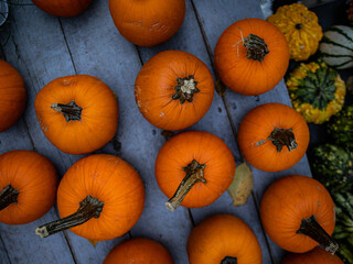 pumpkins for sale at market