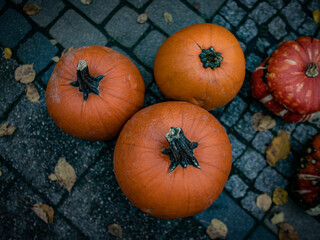 pumpkins and ground
