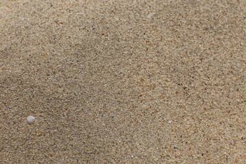 yellow sand from the desert texture