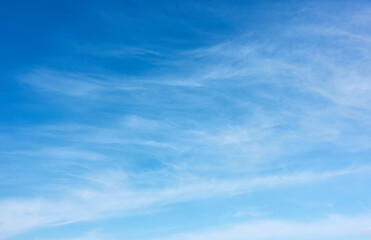 Blue sky with fleecy clouds