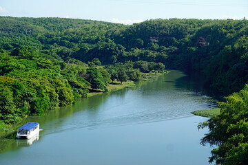 Fototapeta premium tropical landscape at chavon river