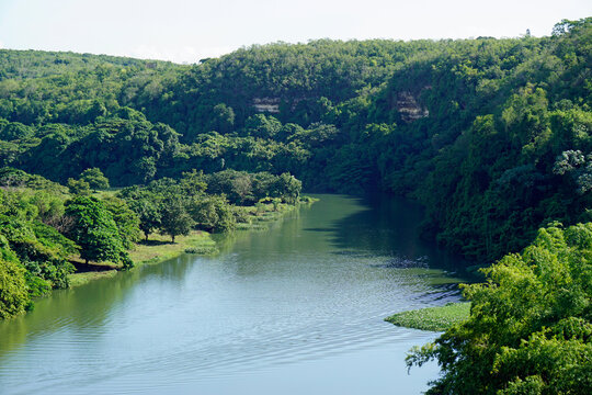 tropical landscape at chavon river