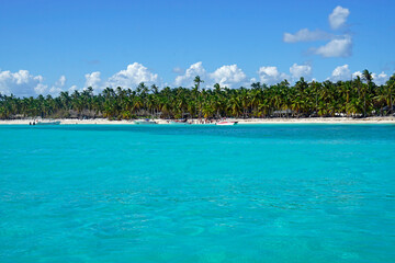 tropical island saona in the dominican republic