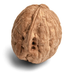 walnut isolate on white