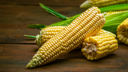fresh raw organic ripe yellow uncooked sweet  corn cob dark rustic wooden table background closeup...