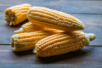 fresh raw organic ripe yellow uncooked sweet  corn cob dark rustic wooden table background closeup copy space agriculture  concept leaves plate autumn harvest banner.