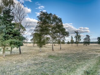 Offene Landschaft