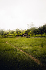 Obraz premium landscape with grass and clouds