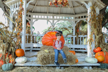 painted acadamy  pumpkin attach in Orlando florida 