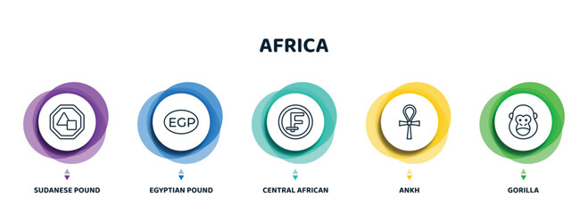 editable thin line icons with infographic template. infographic for africa concept. included sudanese pound, egyptian pound, central african franc, ankh, gorilla icons. - obrazy, fototapety, plakaty